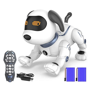 Robot Dog Toy